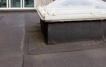 disadvantages of Carleton In Craven flat roofs