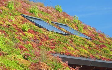 Carleton In Craven living roof systems