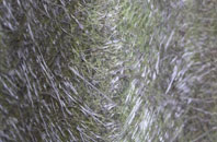 Carleton In Craven fibreglass roof work